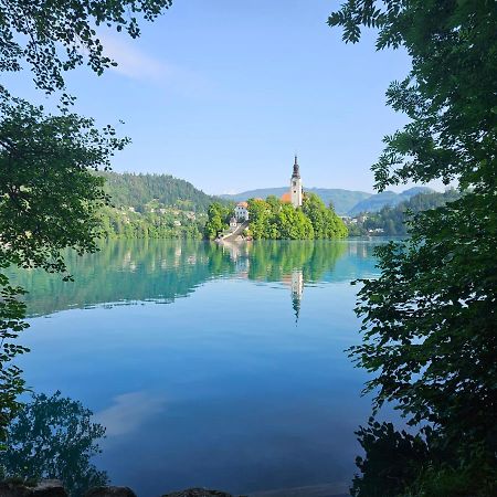 Apartma Jezerci Lägenhet Bled Exteriör bild
