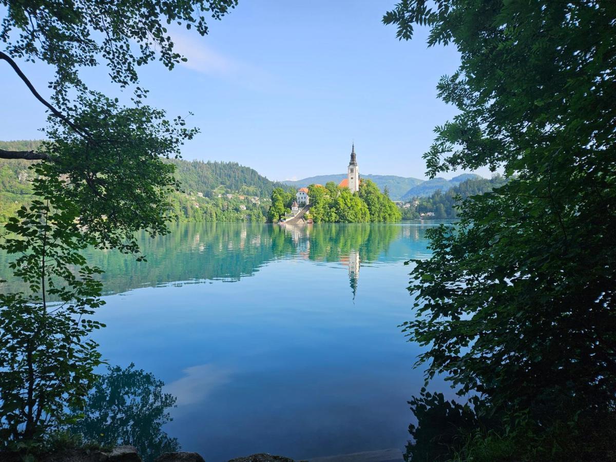 Apartma Jezerci Lägenhet Bled Exteriör bild