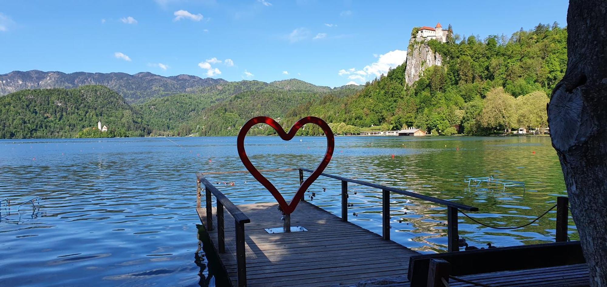 Apartma Jezerci Lägenhet Bled Rum bild